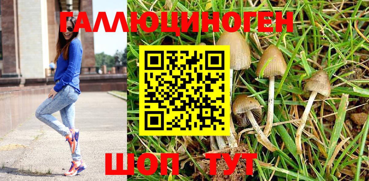 Псилоцибиновые грибы мухоморы  Вход с VPN  Галлюциногенные грибы мухоморы  Реж 