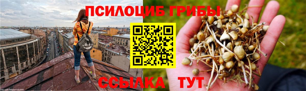 Псилоцибиновые грибы MAGIC MUSHROOMS Реж